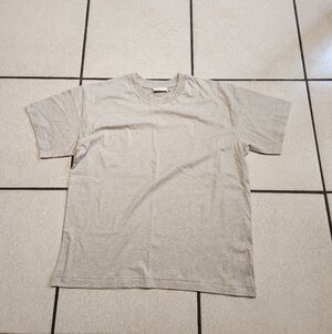 Elwood T-shirt distressed organic SzM